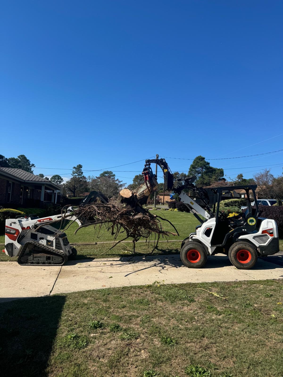 Matias tree service gallery 5
