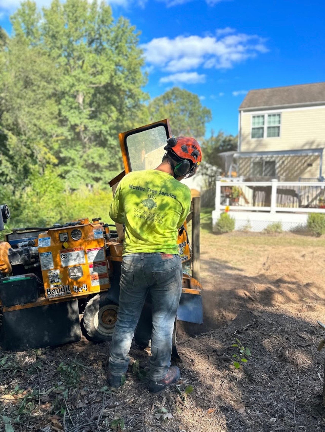Matias tree service gallery 4