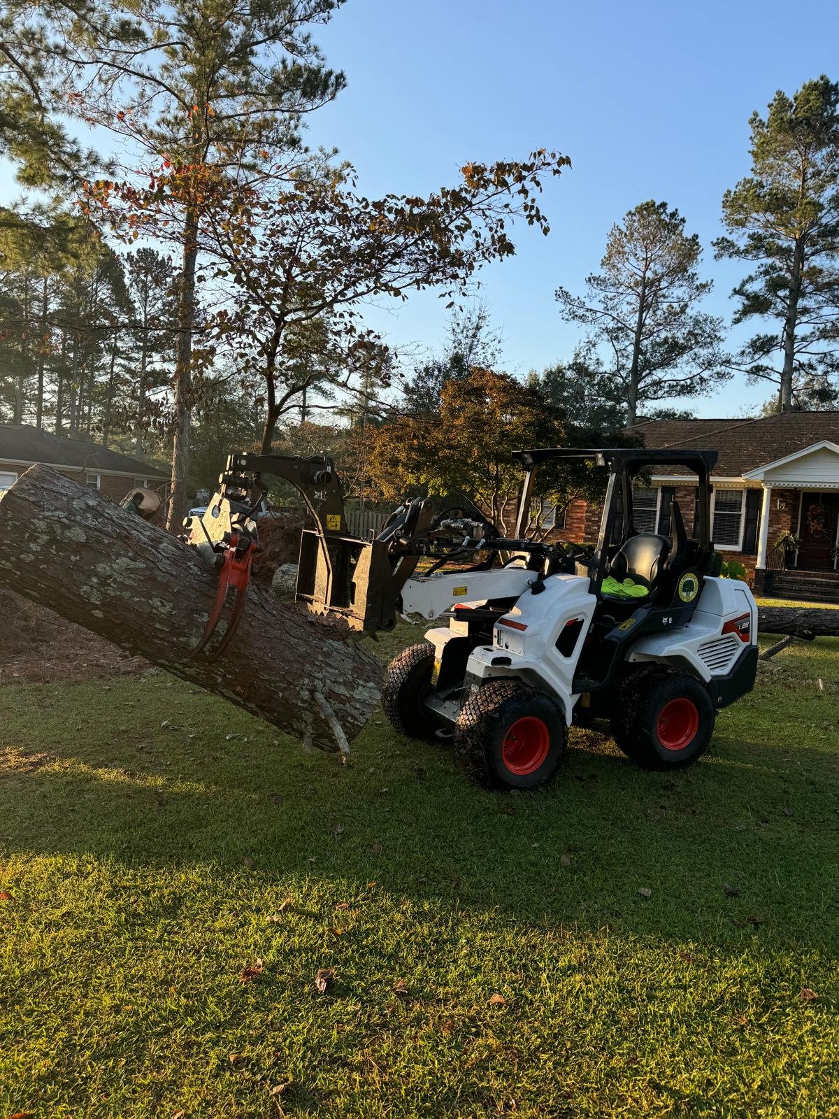 Matias tree service gallery 9